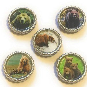 Grizzly Bear Magnet Set